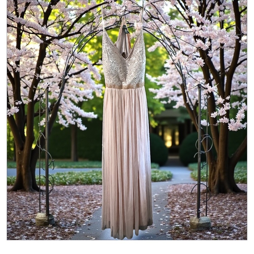 Pink champagne’s Lace and Tulle Gown​ - Picture 5 of 6